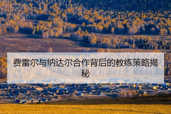 fei-lei-er-yu-na-da-er-he-zuo-bei-hou-de-jiao-lian-ce-lve-jie-mi-2-117.jpg